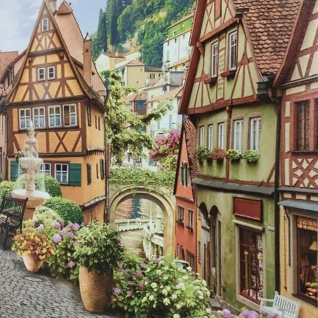 Calima - - Completo Relax